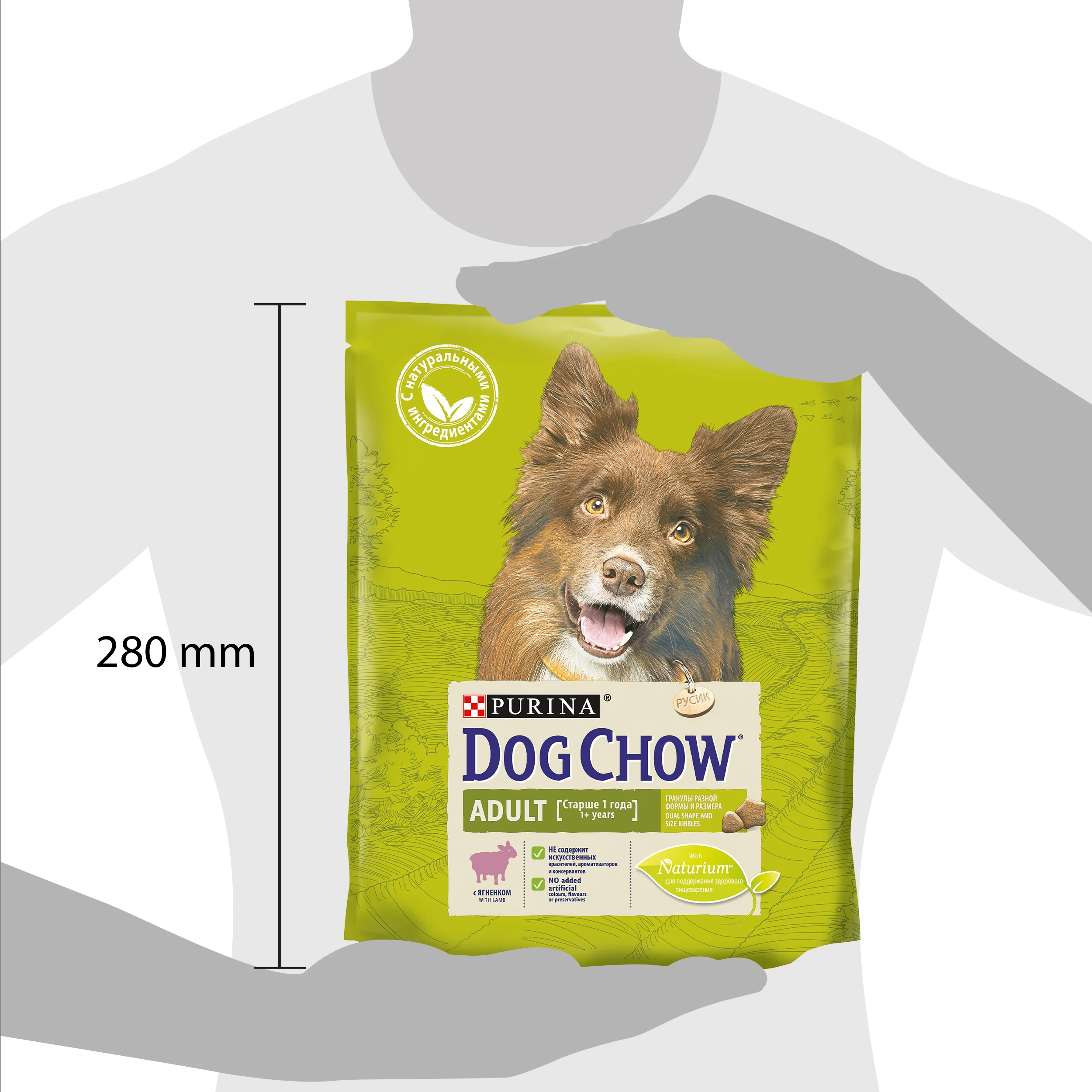 Сухой корм Dog Chow для взрослых собак, с ягненком, Пакет, 800 г