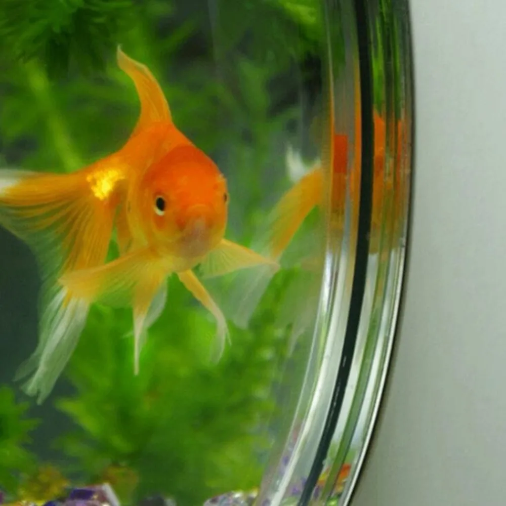Acrylic Fish Bowl Wall Hanging Aquarium Tank Aquatic Pet Supplies Pet Products Wall Mount Fish Tank (10)