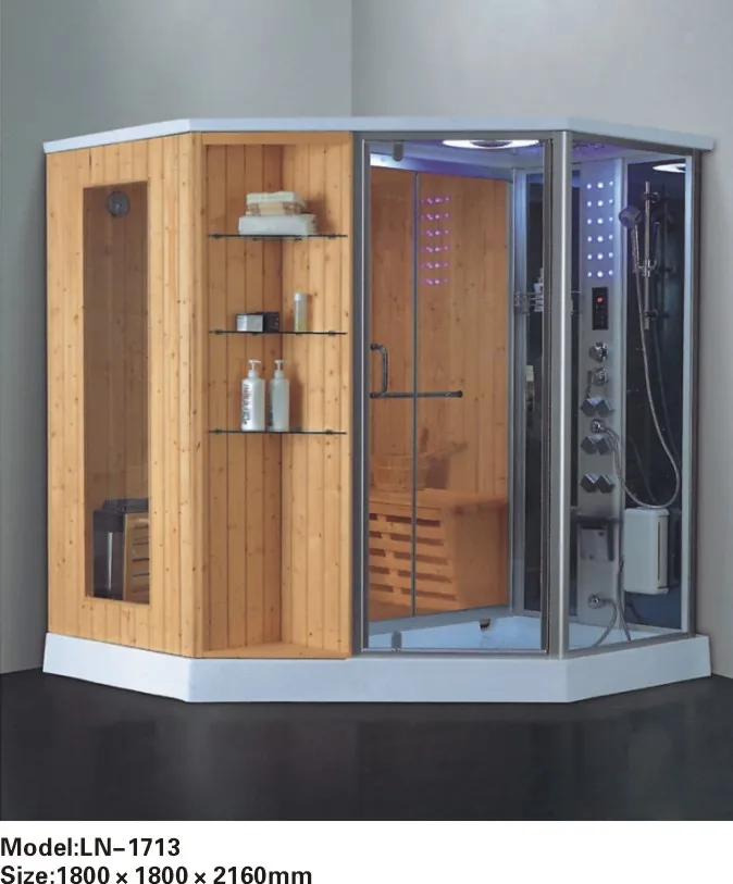 SR25-0262-LN-1713-steam shower room