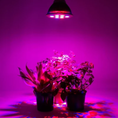 

Youoklight 1PCS E27 24W Ac 85~265V 12 - Led Plant Grow Light - Mint Green