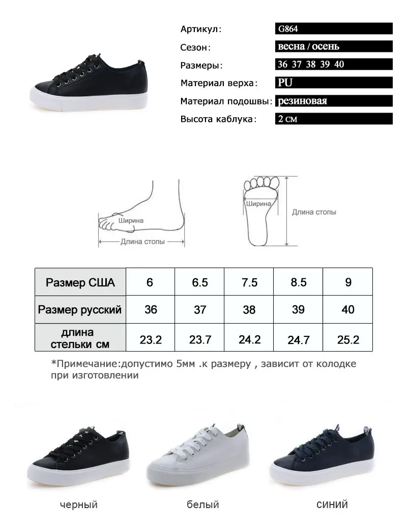 G864-_02