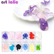 12 цветов/коробка 3D дизайн ногтей сушеные Цветочные украшения DIY настоящие консервированные цветы для ногтей