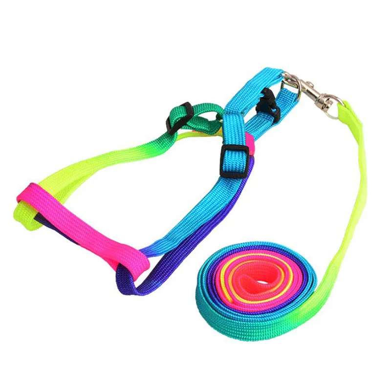 rainbow dog lead