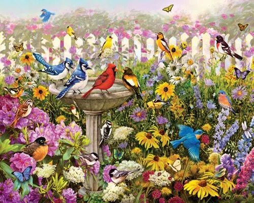 1015_Birds-of-Summer_500px