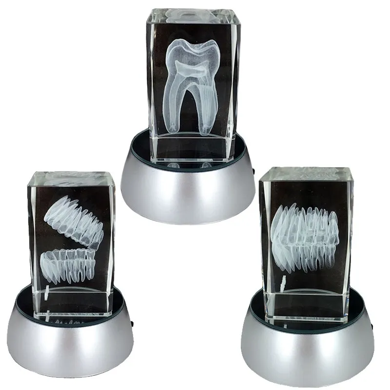 

Glowing 3D Tooth Model Clear Crystal Stand With LED Lamp Stand Character Tooth Colorful Child Oral Dental Souvenir Gift 2018
