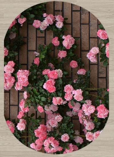 Еще коричневый кирпич розовый розы цветы 3d узор печати нескользящей микрофибры гостиная современный Овальный моющийся коврик ковры