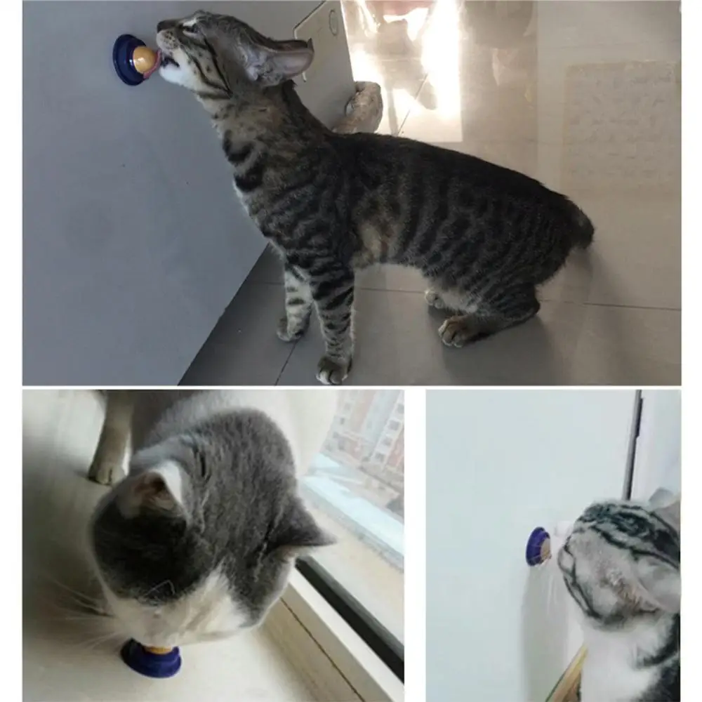 Энергетический мяч для кошек натуральная кошачья мята Снэк лизание сахара снэки