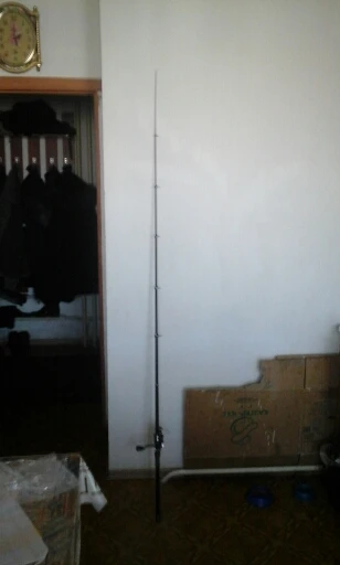 daiwa ballistic x