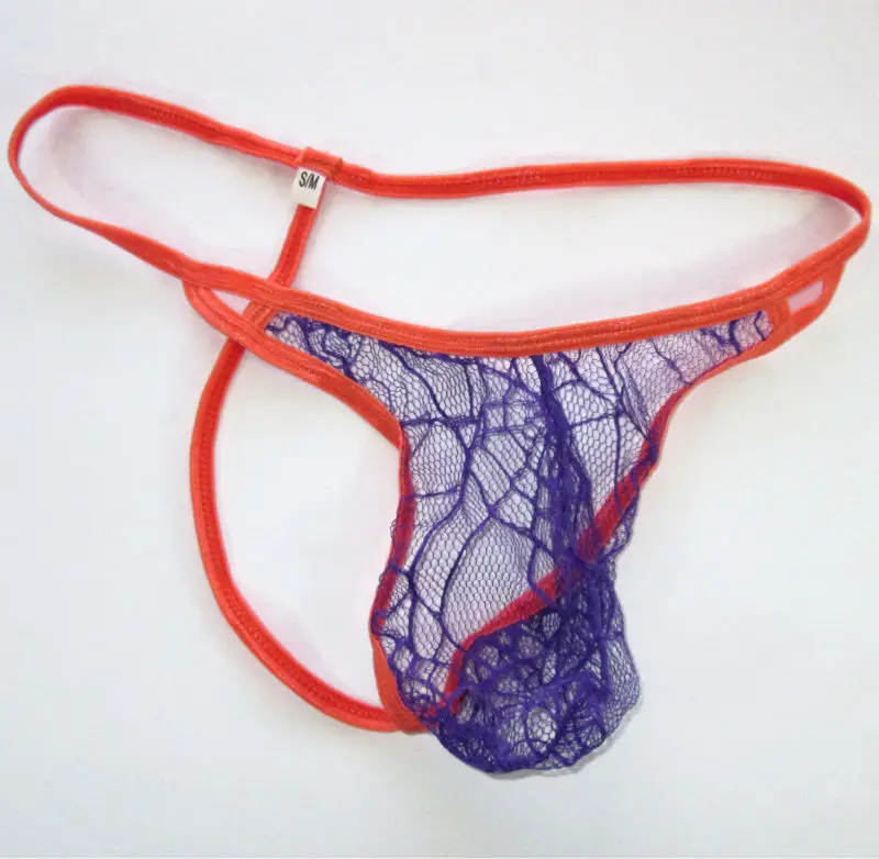 G4449-spider-purple-2