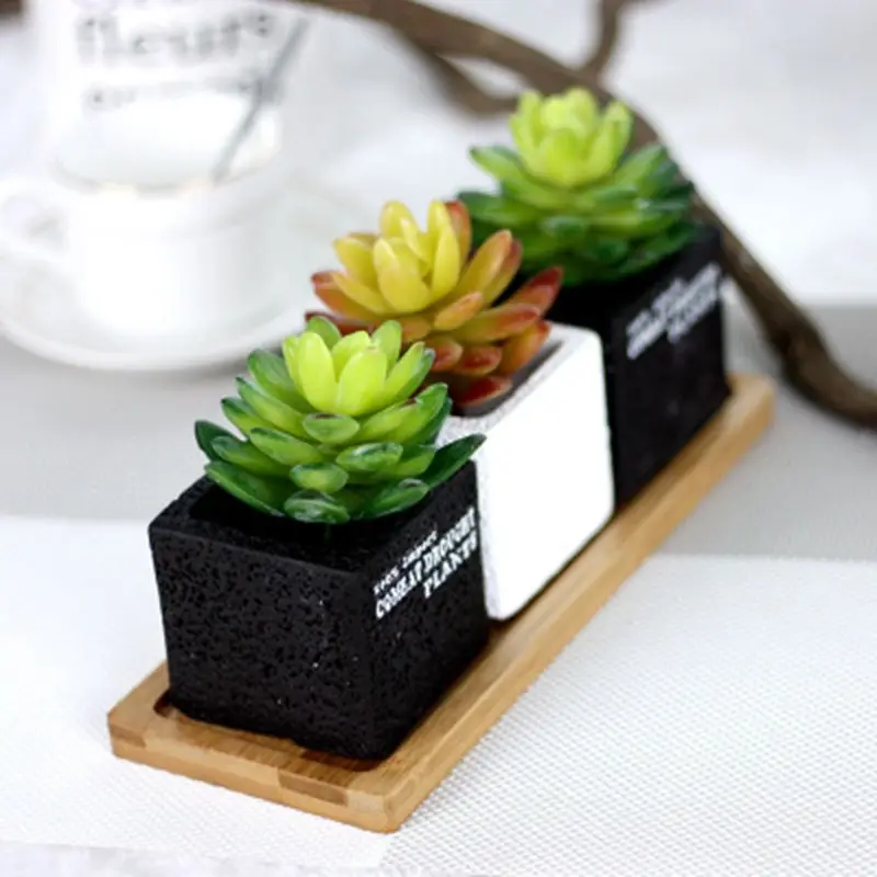 

1pc cute Mini Succulent plants palm bonsai local landscape artificial fleshiness plant decorative flower for table decoration