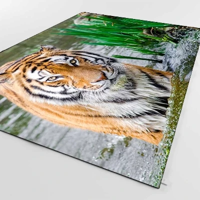 

Else Brown Black Tiger Animals in Blue River 3d Print Non Slip Microfiber Living Room Decorative Modern Washable Area Rug Mat