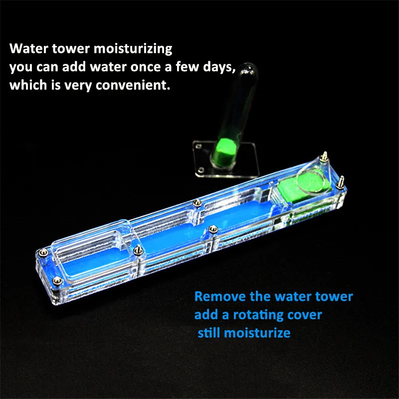 Anthouse Acrylicant nest  BIG Starter Kit formicarium ant farm with water tower moisturizing  (5)