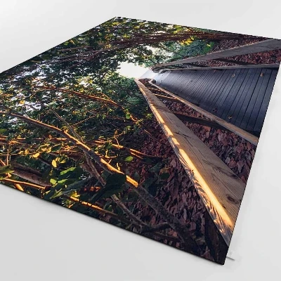 Еще зеленые лесные деревья в деревянный мост природа 3d печать Нескользящая микрофибра Гостиная декоративный современный моющийся коврик