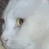 S***v