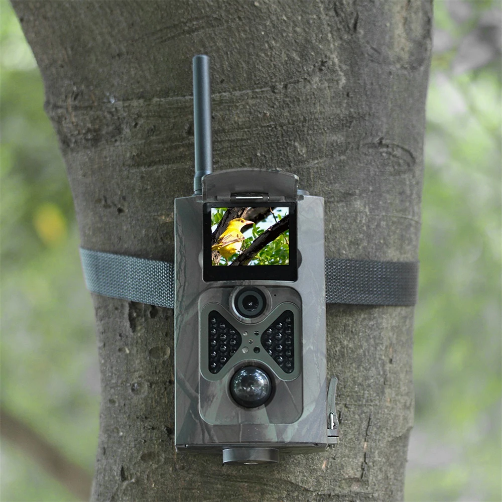 Камеры для охоты купить. Филин 120 (HC-550a). Филин 120 mms (HC-550m). Hunting Trail Camera HC-550g. Фотоловушка suntek HC-550g.
