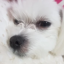 용***장