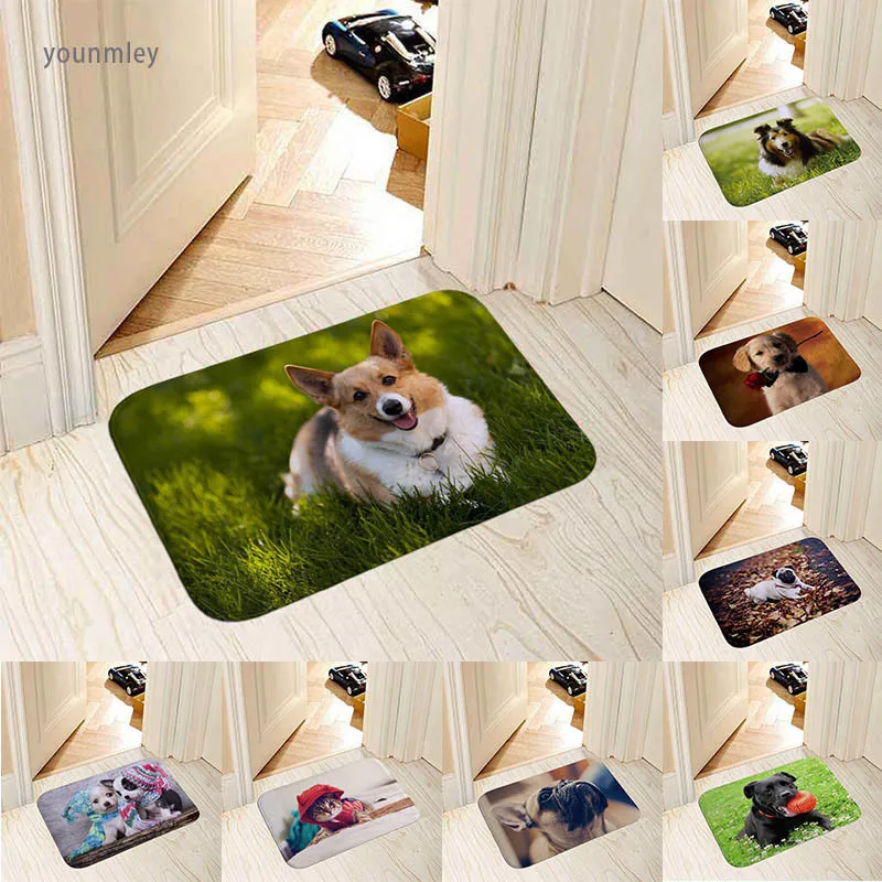 Modern home decorative door mat popular dogs pug/border collie/bull terrier/French bulldog photo print 40x60cm floor mat carpet