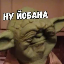 S***y