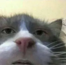 A***o