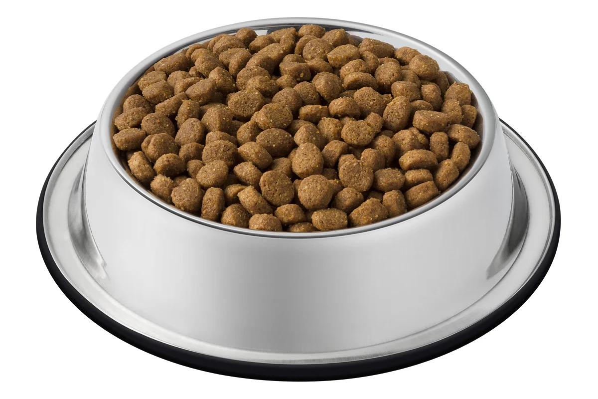 Сухой корм Cat Chow для взрослых кошек с чувствительной пищеварительной системой с лососем, Пакет, 400 г