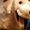 K***e