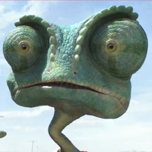 J***z