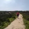 P***o