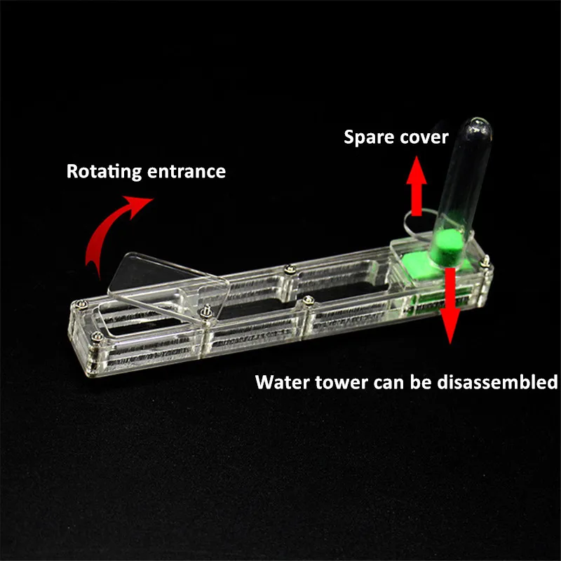 Anthouse Acrylicant nest  BIG Starter Kit formicarium ant farm with water tower moisturizing  (6)