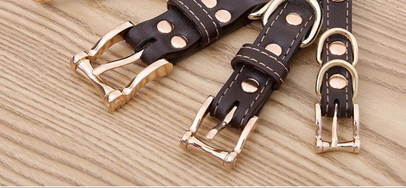 Collar (8)
