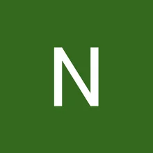 N***n