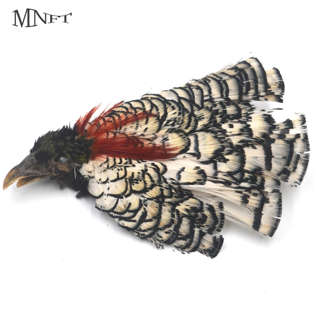 Mnft Lady Amherst Head Pheasant Salmon Fly Tying Feathers Color White