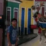 I***o