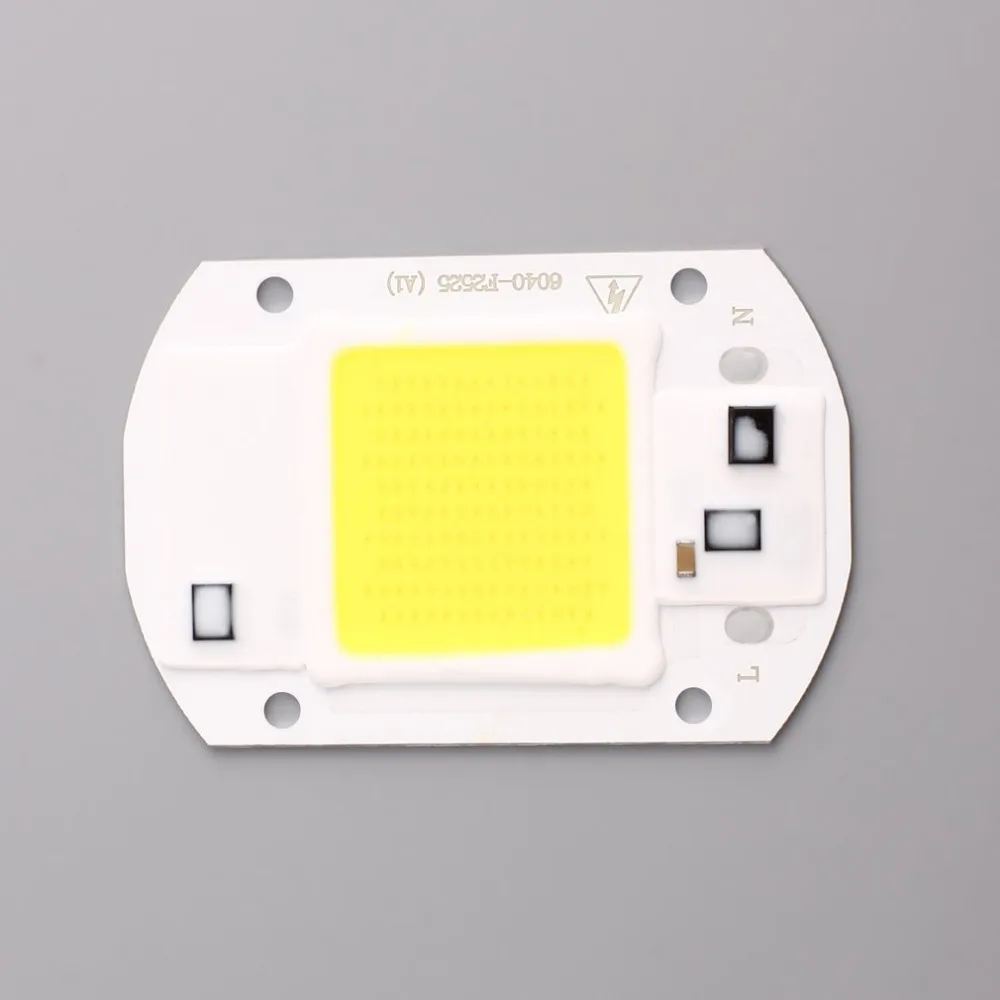 20W AC 220V 110V LED COB Chip Bulb Lamp Lights High Power Integrated F6040 White/Warm White DIY