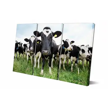 

Drop shipping 3 Panel printed painting Cow painting Wall Art Picture Home Decoration Living Room Modern painting LS596