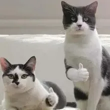 A***v