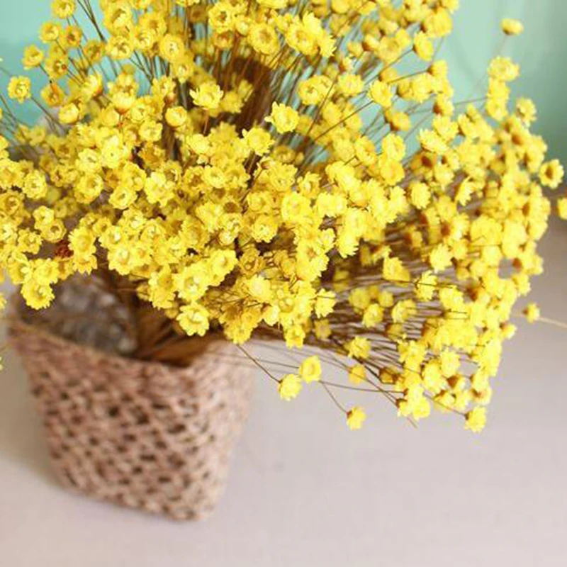 150 шт сушеный цветок мини ромашка Астра букет живое растение маленький цветочный для свадьбы DIY украшения дома