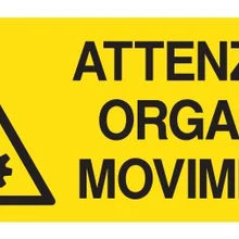 Знак для всех. Внимание органов в