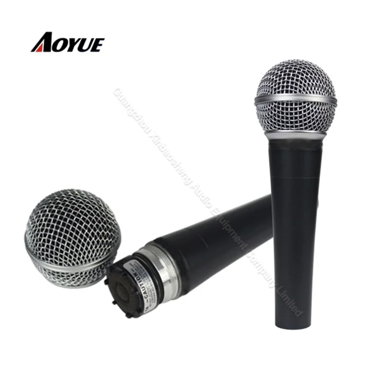 microphone (10)