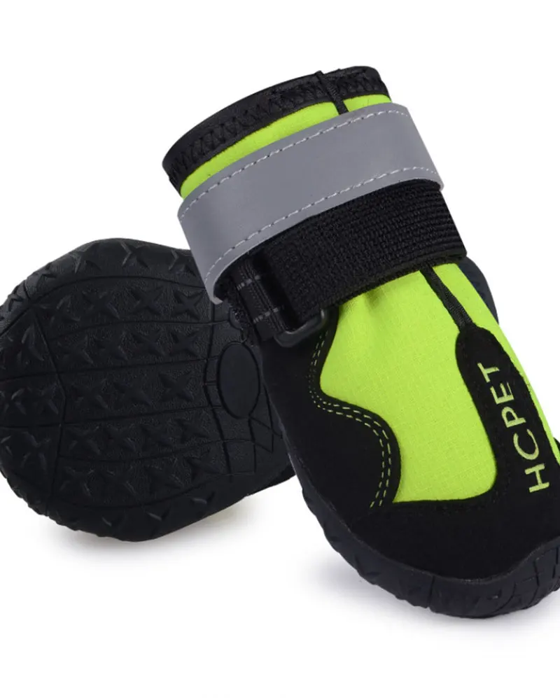 dog footwear