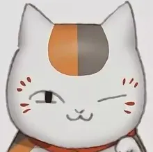 A***n