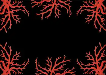 

American Placemat Corals 3 - Set of 4