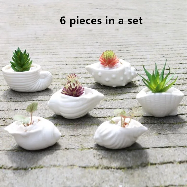 

TECHOME 6pcs/set Mini Succulents Flower Pot White Shell Conch Creative Ceramics Flower Pot Home Office Desk Decoration