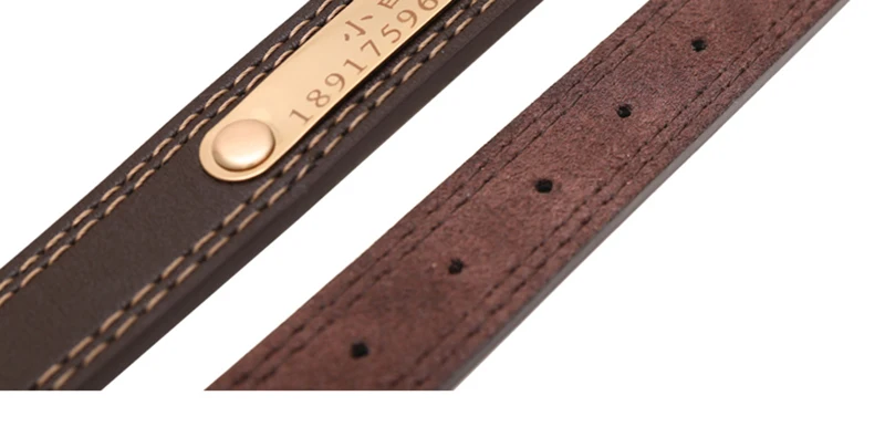 Collar (6)