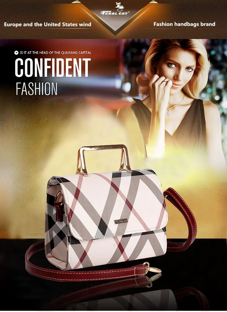 FERAL CAT Fashion Handbag 2017 Women Leather Handbags Luxury Bags Designer High Quality60
