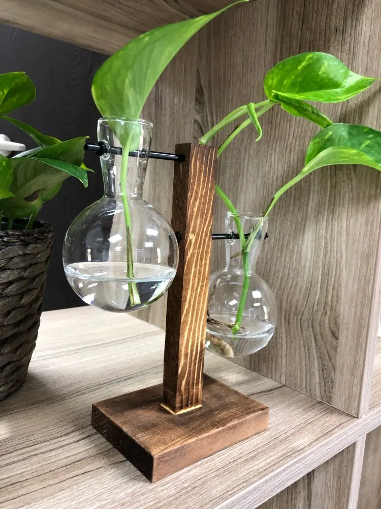 Стеклянные колбы для цветов. Стеклянная колба для цветов. Необычные колбы для декора. Подставка с колбами для цветов. Стеклянные колбы для цветов.