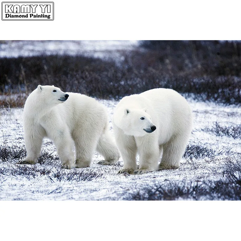 polar-bears-1665367_960_720