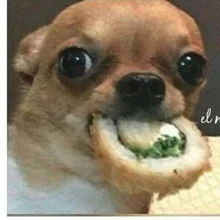 i***a