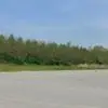 f***d