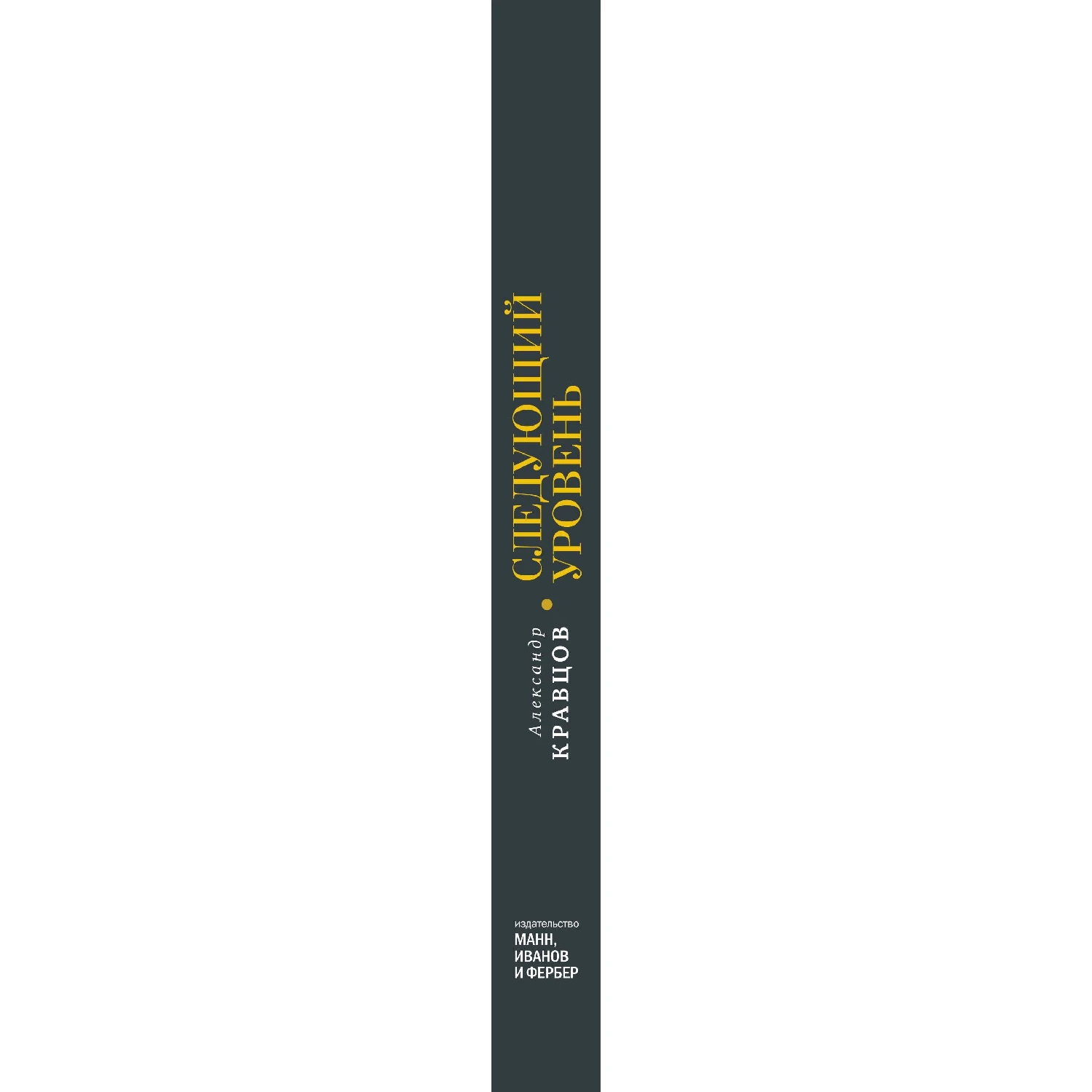 Следующий уровень. Книга для тех, кто достиг своего потолка (978-5-00146-016-9, 256 стр., 0+)
