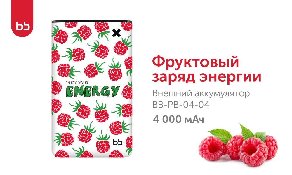 BB-акб_BB-PB-04-04-07